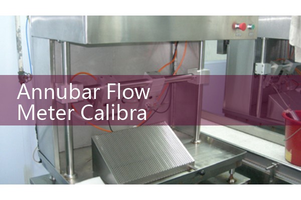 Annubar Flow Meter Calibration: Lab Sizing Verification and Metrology Standards